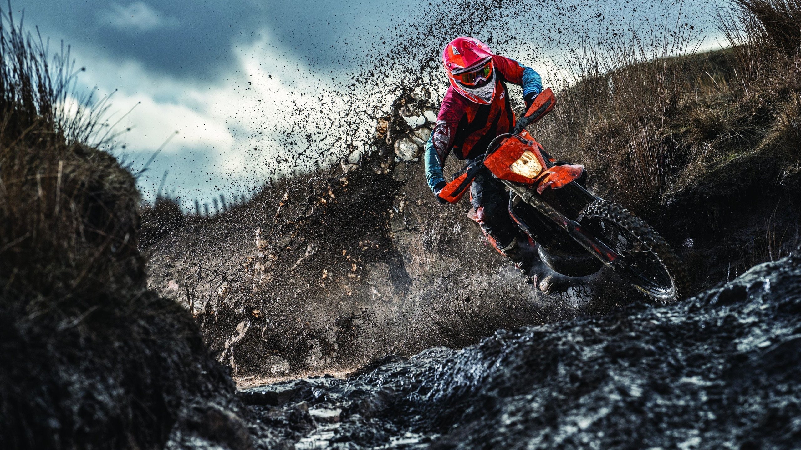 田径项目专项训练成效显著,田径专项体能训练